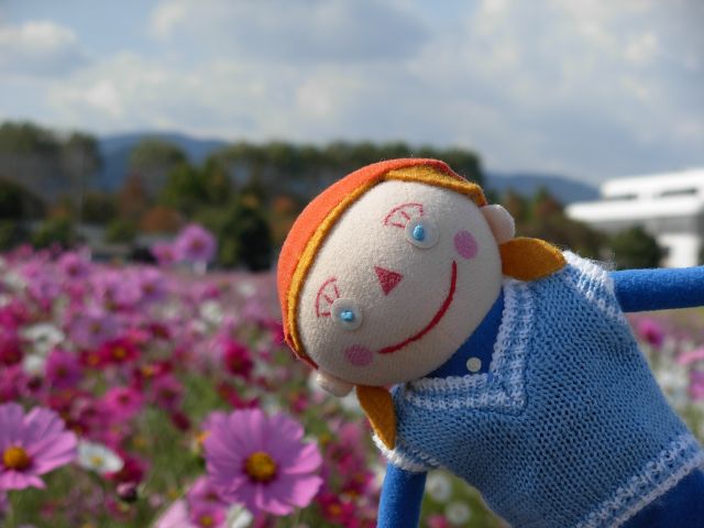 まち子の旅のおもひで かかしの見つめるコスモス畑 京都 亀岡の 夢コスモス園
